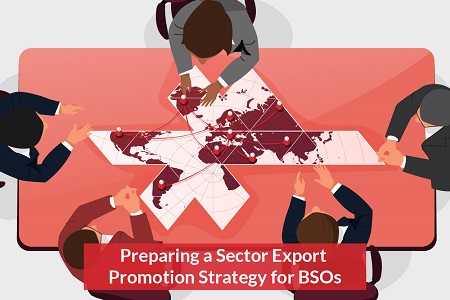 Preparing a Sector Export Promotion Strategy for Business Support Organizations